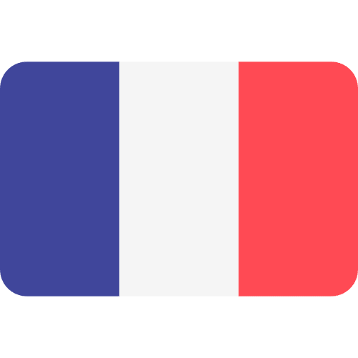 Drapeau de la France symbolisant le fait que la formation se tiendra en français